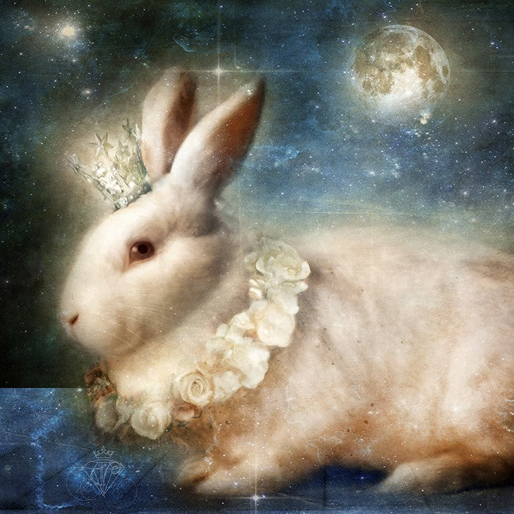 The White Moon Rabbit