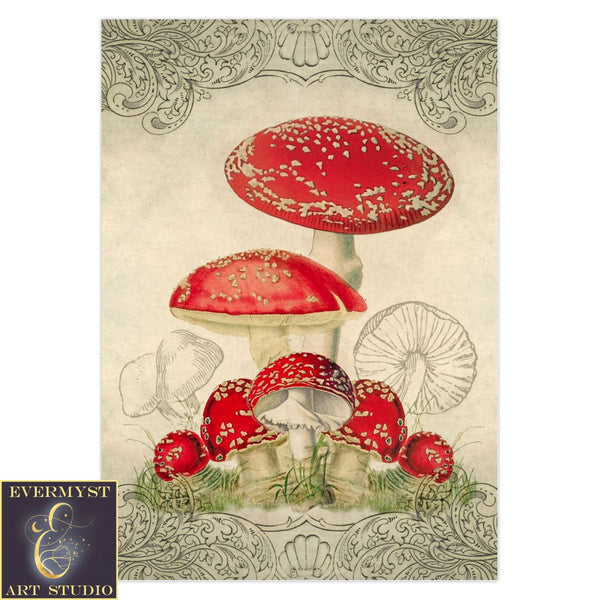 Vintage Toadstool Red Mushroom Greeting Card Notecards 5 Cards